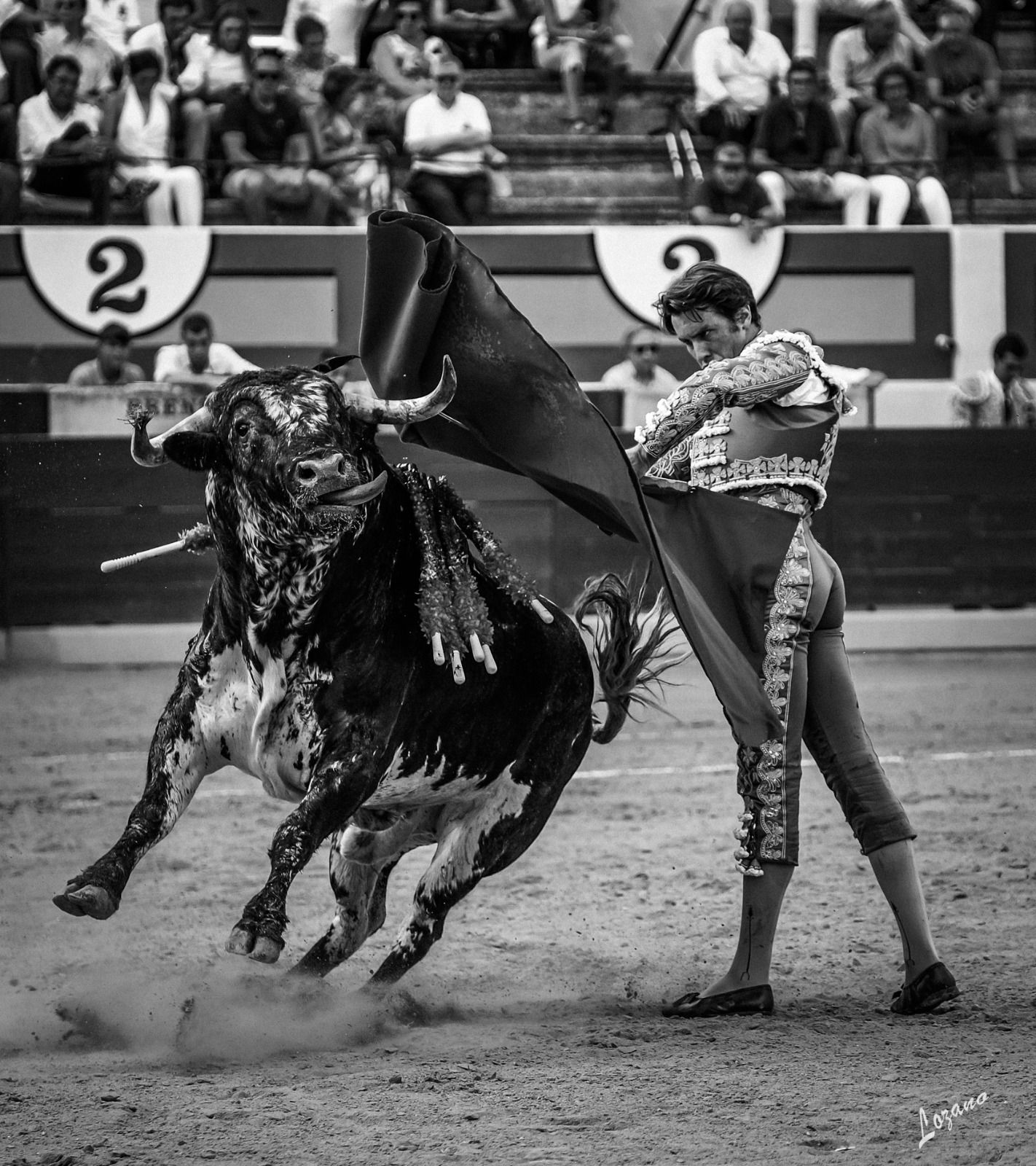 Fernando Roca Rey