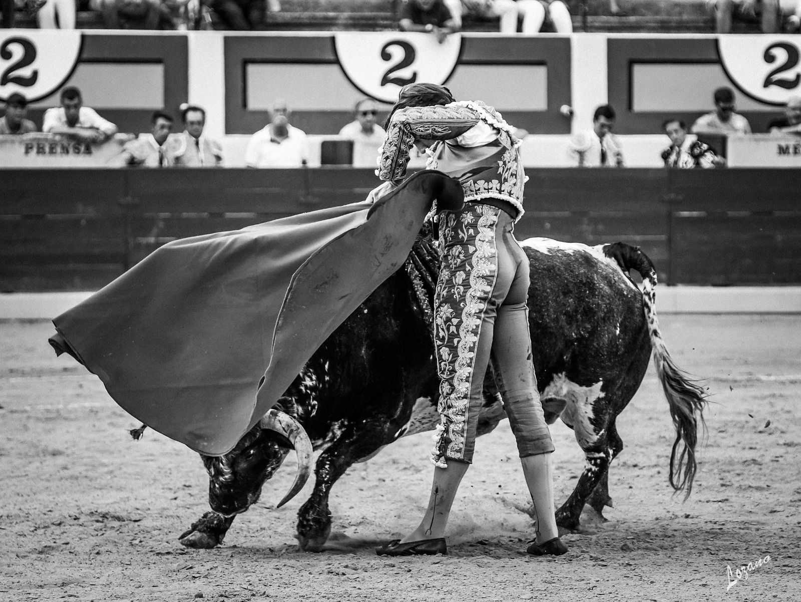 Fernando Roca Rey