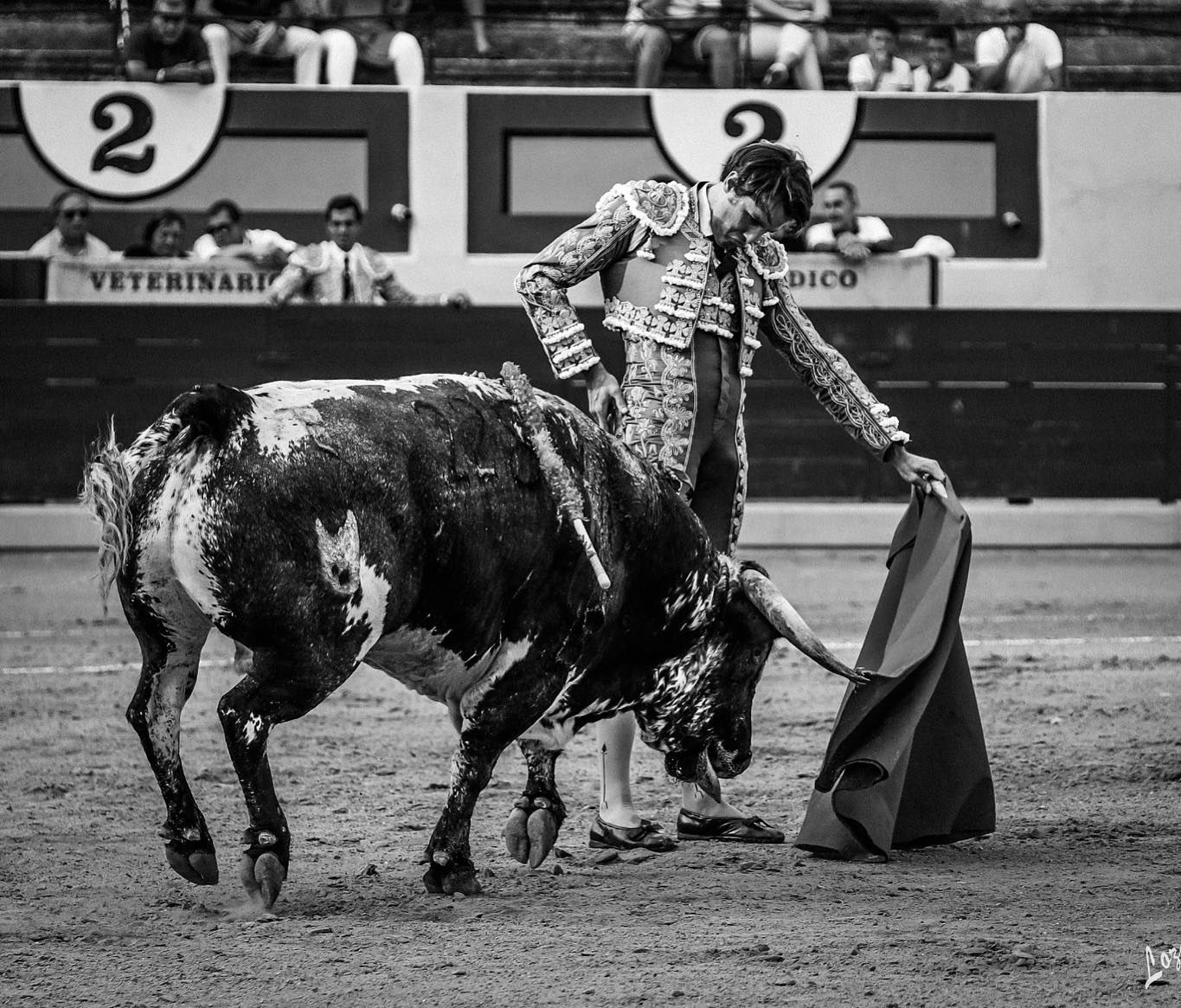 Fernando Roca Rey